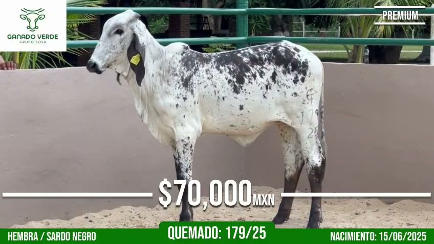 Aguanta el clima